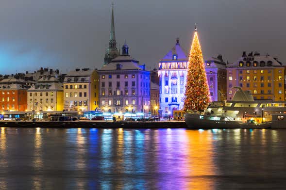 Stockholm Christmas Tour