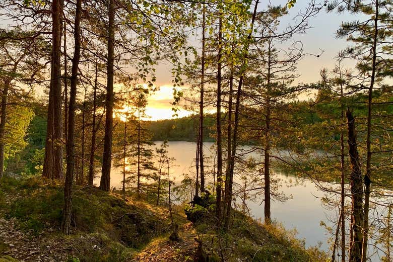 Sunset in Tyresta National Park