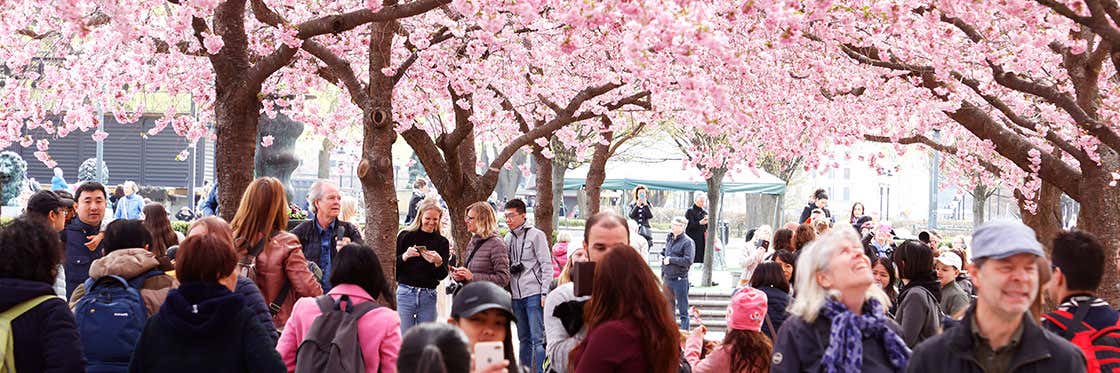 Kungsträdgården