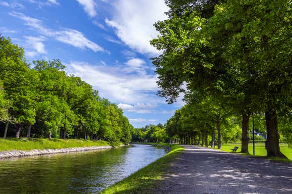 Royal Canal Boat Tour